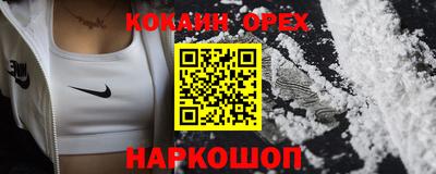 крисы Партизанск
