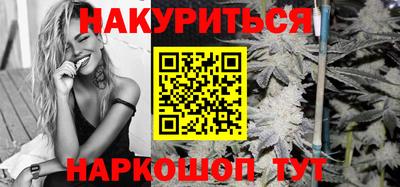 крисы Партизанск