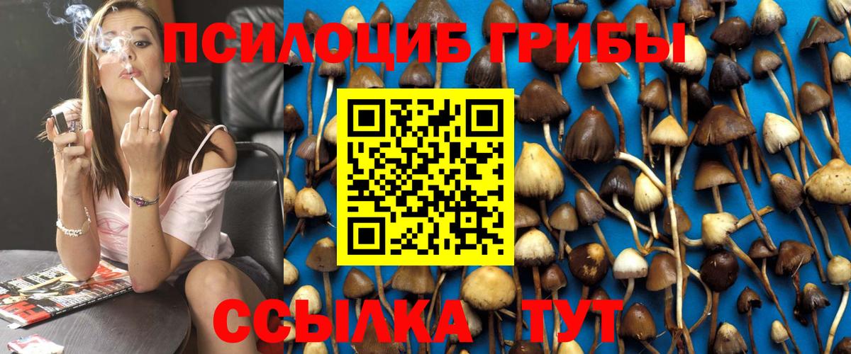 Галлюциногенные грибы мухоморы  Вход с VPN  Новокубанск 