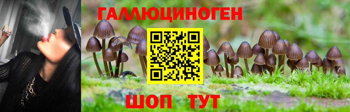 Галлюциногенные грибы MAGIC MUSHROOMS Новокубанск