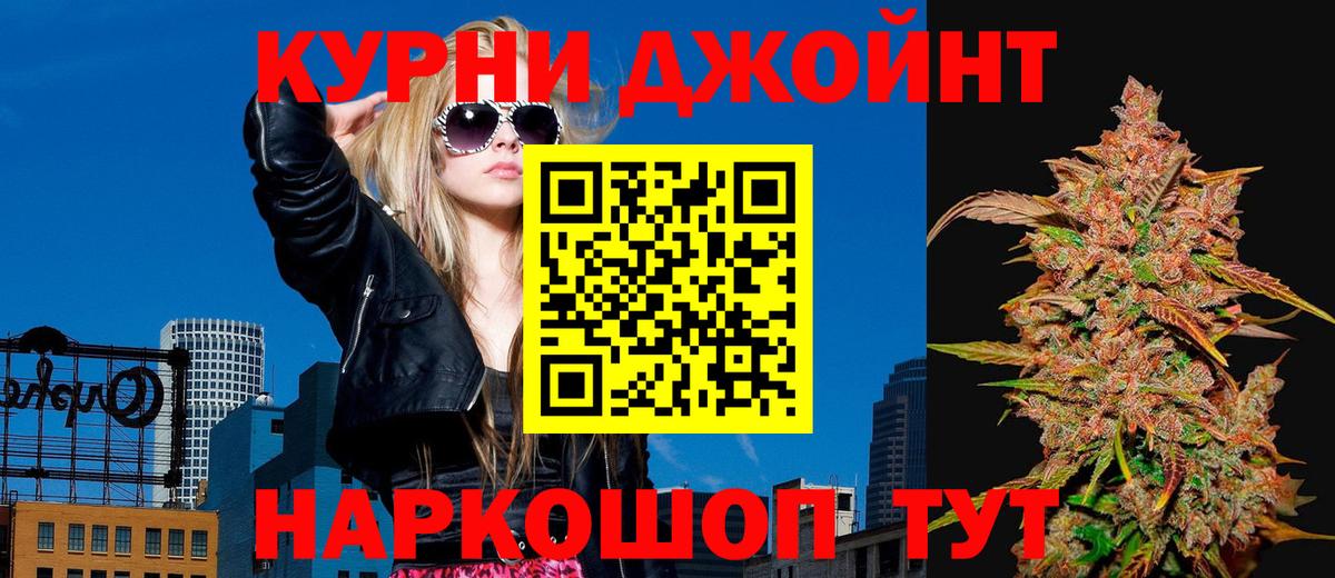 Каннабис сатива Новокубанск